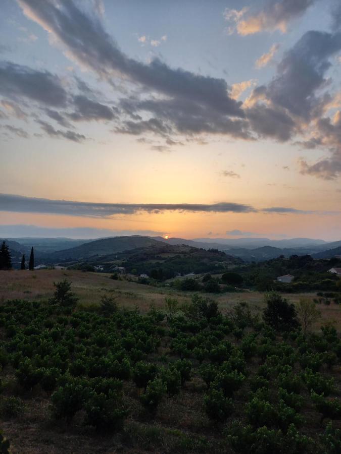 Gite Vigneron Du Domaine D'Alon Magrie Екстериор снимка
