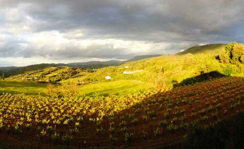 Gite Vigneron Du Domaine D'Alon Magrie Екстериор снимка