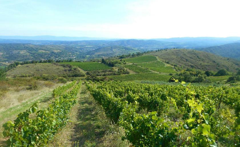 Gite Vigneron Du Domaine D'Alon Magrie Екстериор снимка