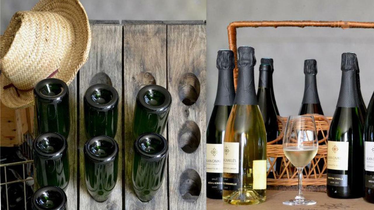 Gite Vigneron Du Domaine D'Alon Magrie Екстериор снимка
