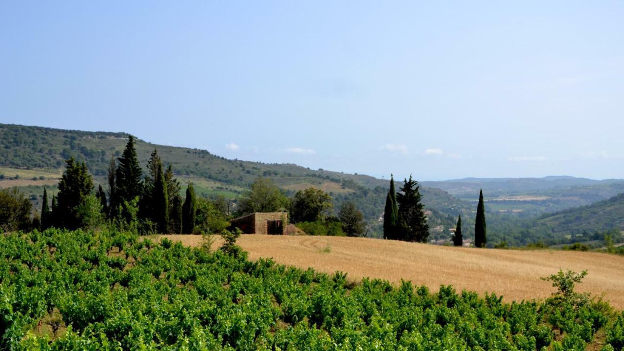 Gite Vigneron Du Domaine D'Alon Magrie Екстериор снимка