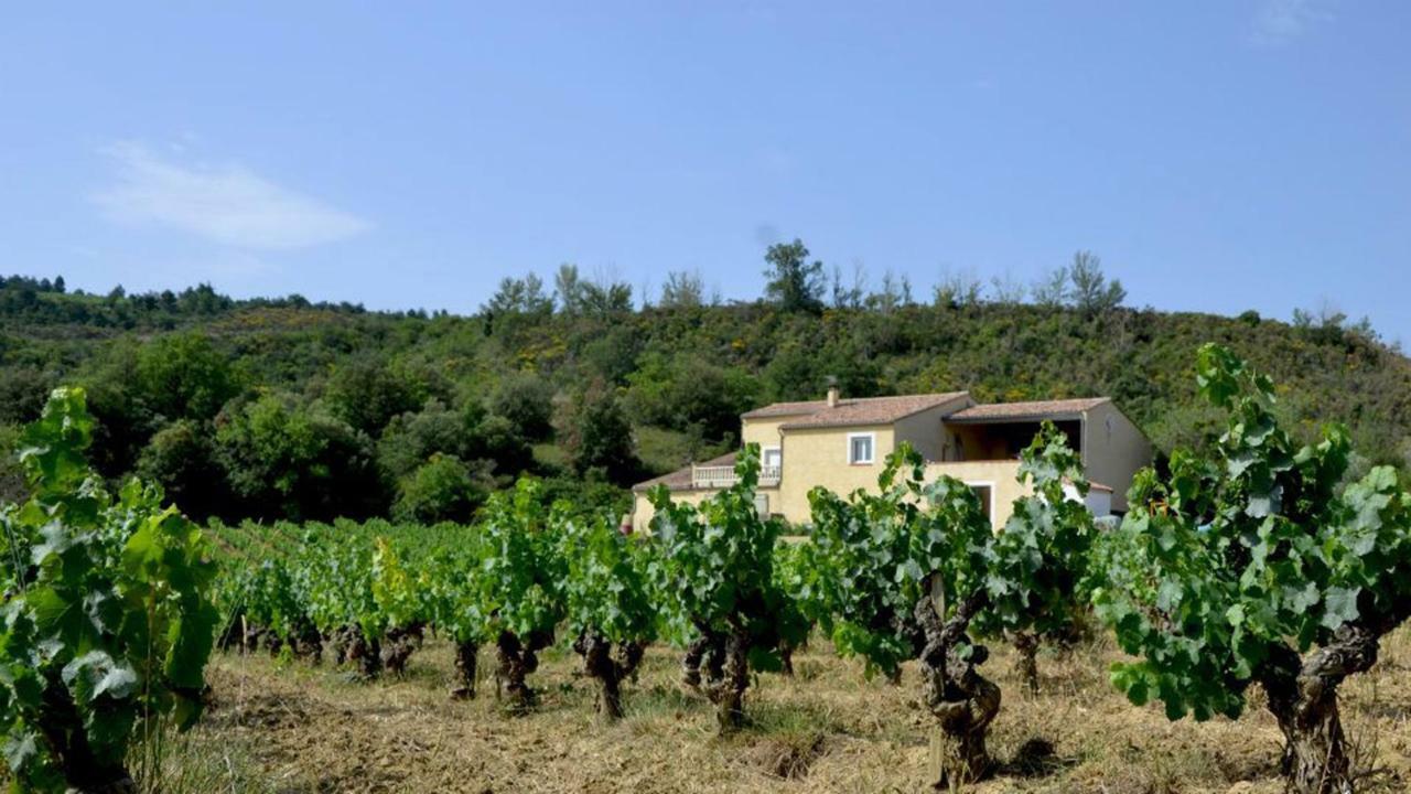 Gite Vigneron Du Domaine D'Alon Magrie Екстериор снимка