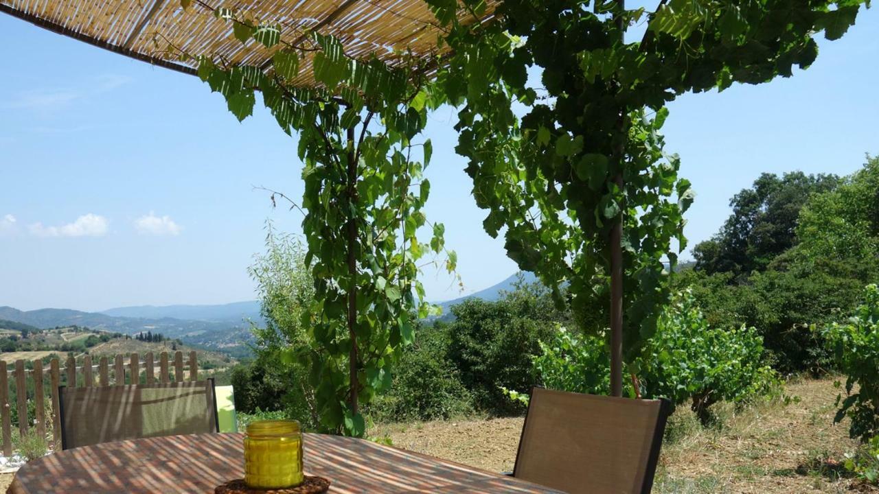 Gite Vigneron Du Domaine D'Alon Magrie Екстериор снимка
